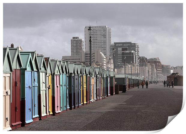 Beach huts. Brighton Print by Will Black