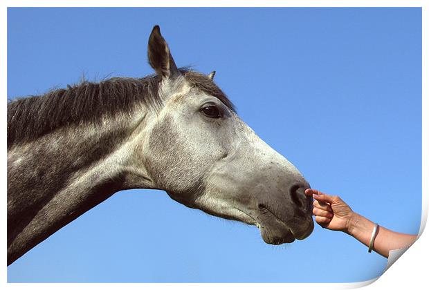 Tender touch Print by Will Black