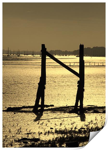 River Orwell Print by Will Black