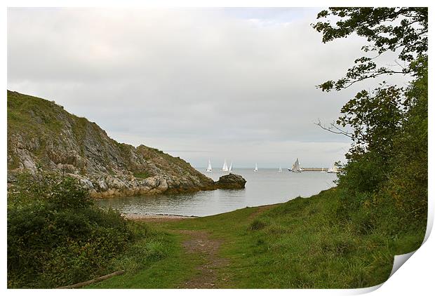 Sailing Off Churston Cove Print by graham young