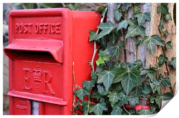 Post Box and Ivy Print by graham young