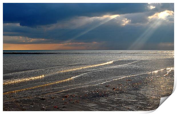 The Sunlit Shore Print by graham young