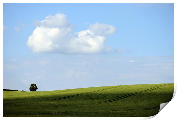 Alone on a Hill Print by graham young