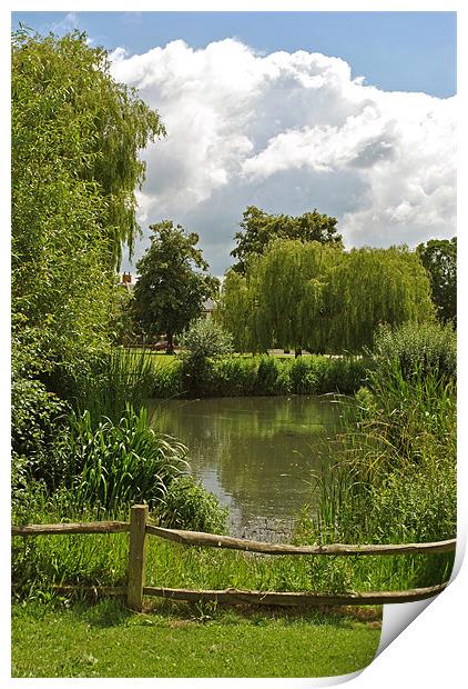 The Pond on Ham Common Print by graham young