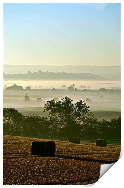 Harvest Dawn Print by graham young