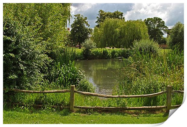 Ham Pond Print by graham young
