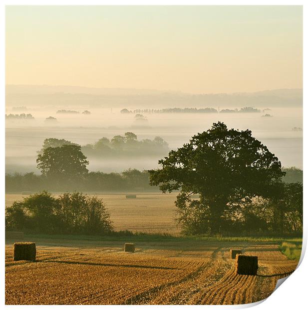 Chiltern Mist Print by graham young