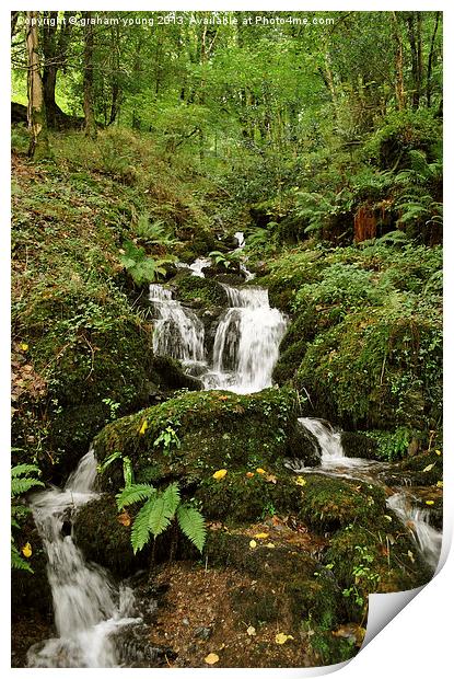 An Exmoor Stream Print by graham young