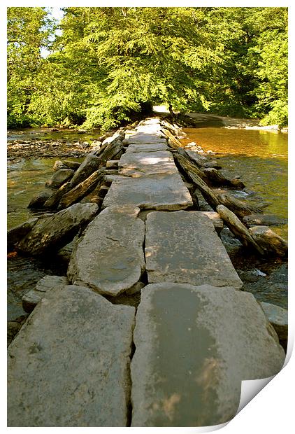 Tarr Steps  Print by graham young