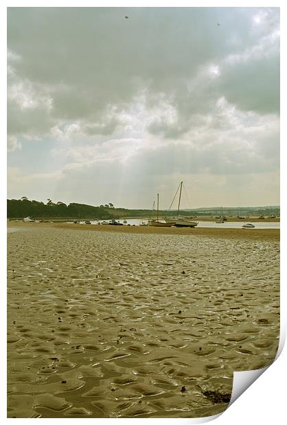 The Beach at Instow  Print by graham young