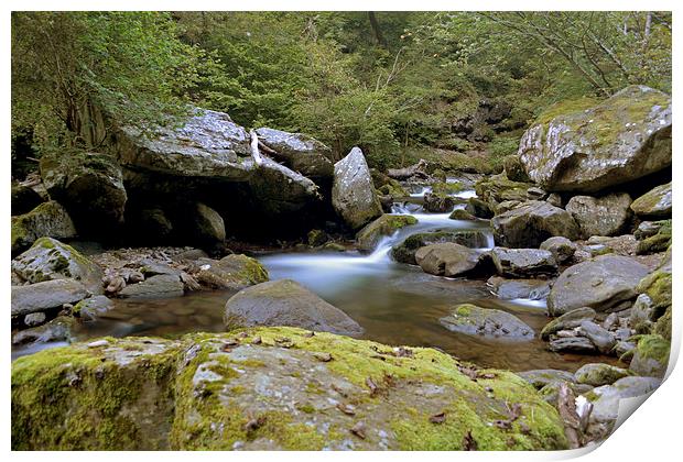 The East Lyn near Watersmeet  Print by graham young