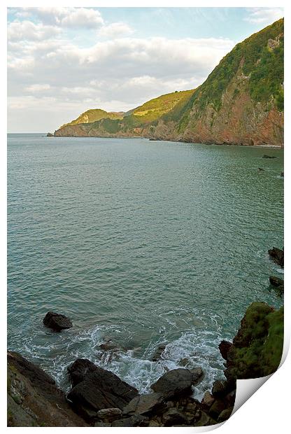 Woody Bay  Print by graham young