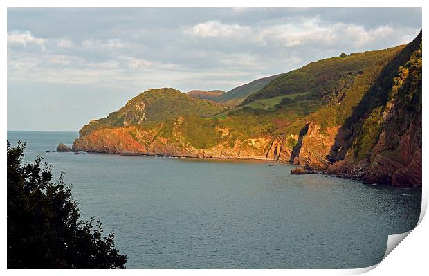 Woody Bay  Print by graham young