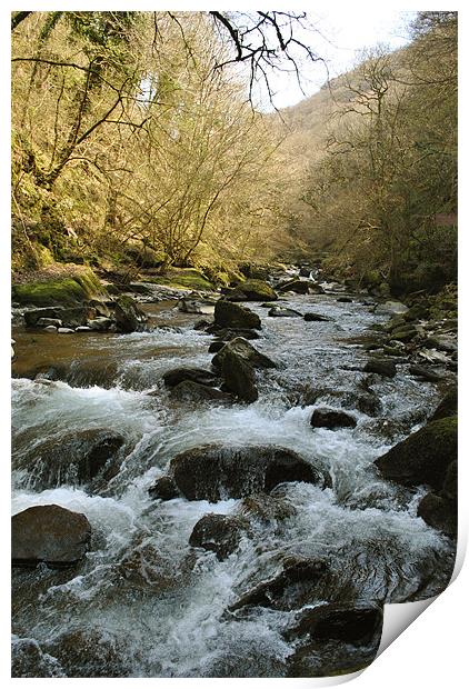 The East Lyn River near Lynmouth Print by graham young
