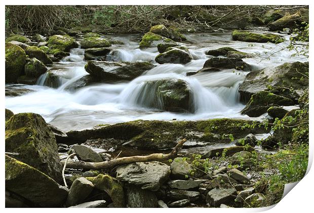 a rocky stream on exmoor Print by graham young