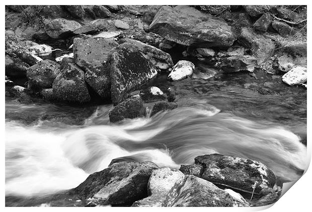 an exmoor stream b+w Print by graham young