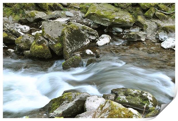 an exmoor stream Print by graham young