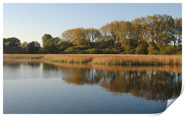 Marsworth Reservoir Print by graham young