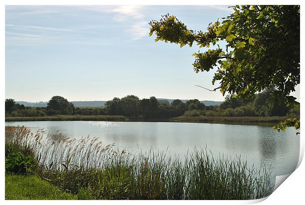 Marsworth Reservoir Print by graham young