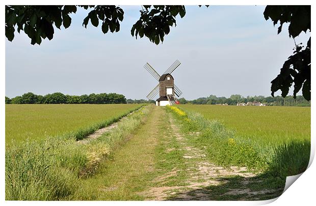Pitstone Windmill, Buckinghamshire Print by graham young