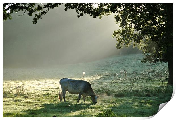 In a Misty Dawn 1 Print by graham young