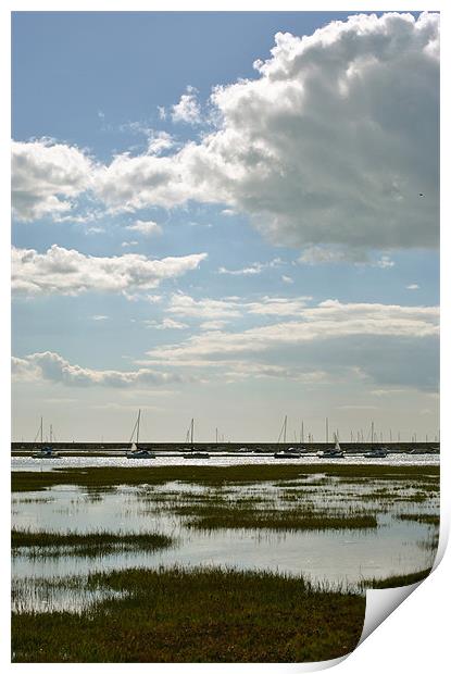 Keyhaven Harbour Print by graham young