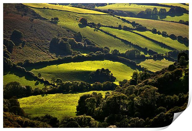 Exmoor Print by graham young