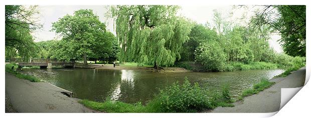 The River Gade at Cassiobury Park in Watford Print by graham young