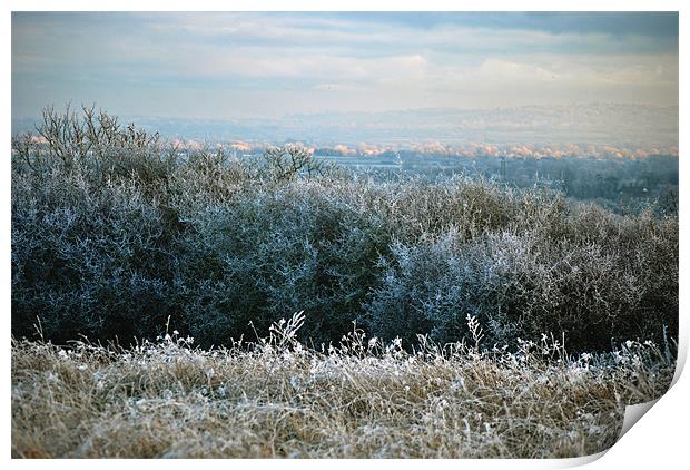 Hoar Frost in the Chiltern Hills Print by graham young