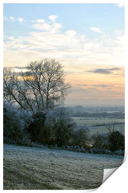 A Frosty Morning in the Chilterns Print by graham young