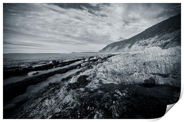 Rock Pools at Bucks Mills monochrome version Print by graham young