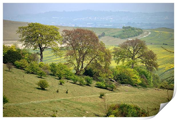 Springtime at Ivinghoe Beacon Print by graham young