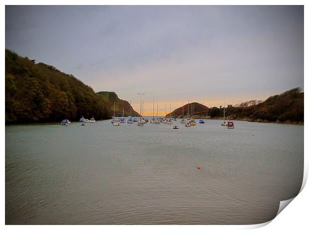 Watermouth Harbour in North Devon Print by graham young