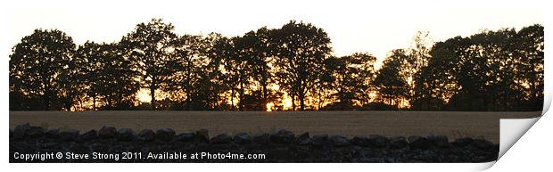 Sussex Sunset Silhouette Print by Steve Strong