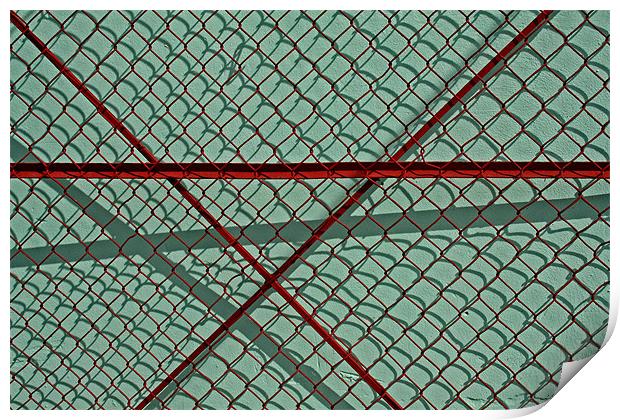Red Fence on Green Print by Tania Bloomfield