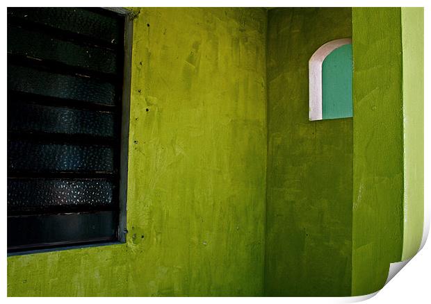 Green Alcove Print by Tania Bloomfield