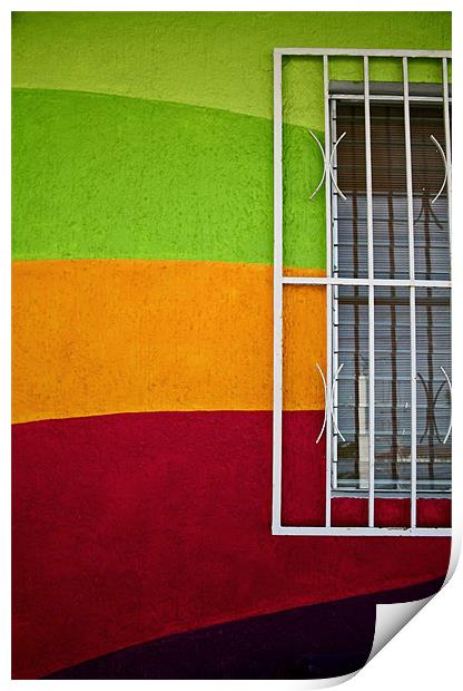 Rainbow wall and Window Print by Tania Bloomfield