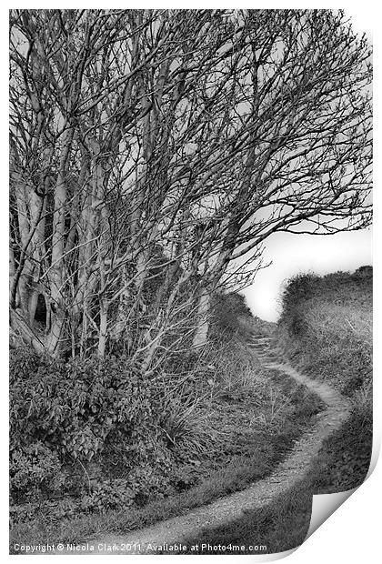 Woodland Path Print by Nicola Clark