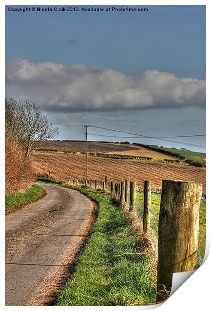 Country Lane Print by Nicola Clark