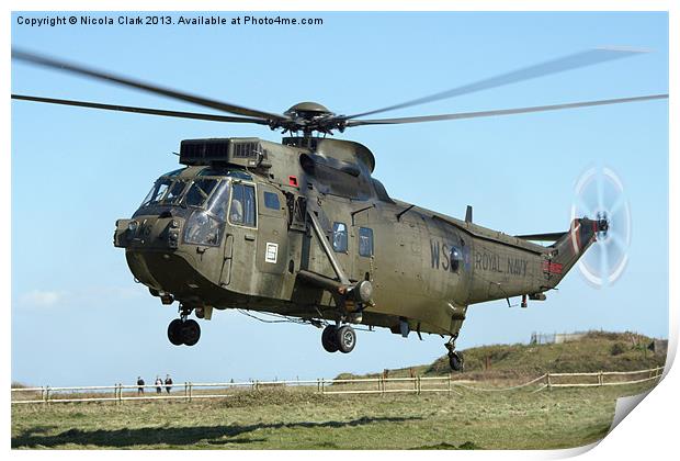 Sea King Print by Nicola Clark