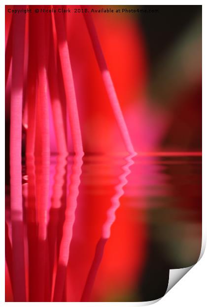 Fuchsia Pink Print by Nicola Clark