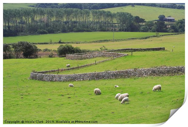 Sheep Farming Print by Nicola Clark