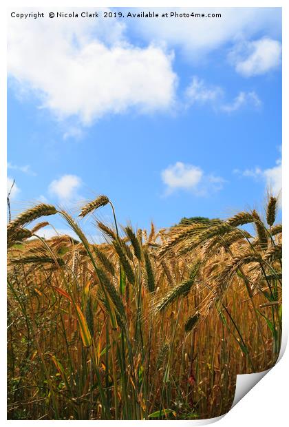 Wheat In The Sun Print by Nicola Clark