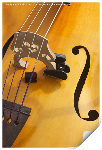 Double Bass Print by Nicola Clark