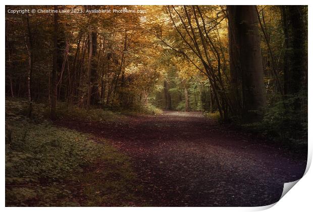 Walking Through Autumn Print by Christine Lake
