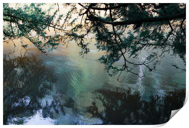 Watery Reflections Print by Christine Lake
