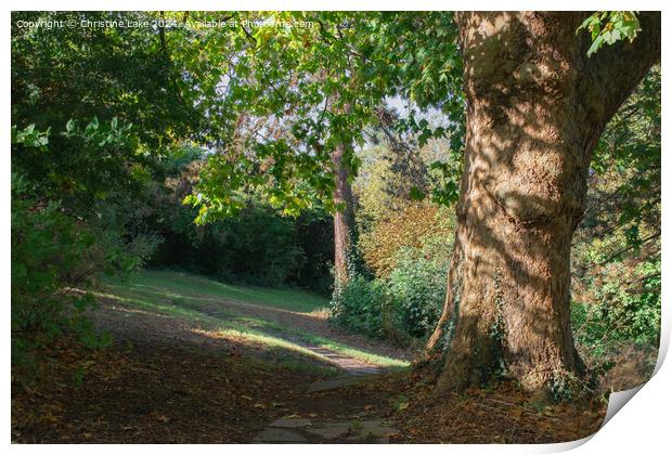 Path In Sunlight  Victoria Park, Bristol, UK Print by Christine Lake