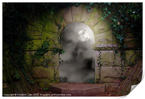 Moon Light Magic Print by Christine Lake