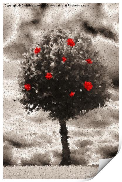 Rose Tree Print by Christine Lake
