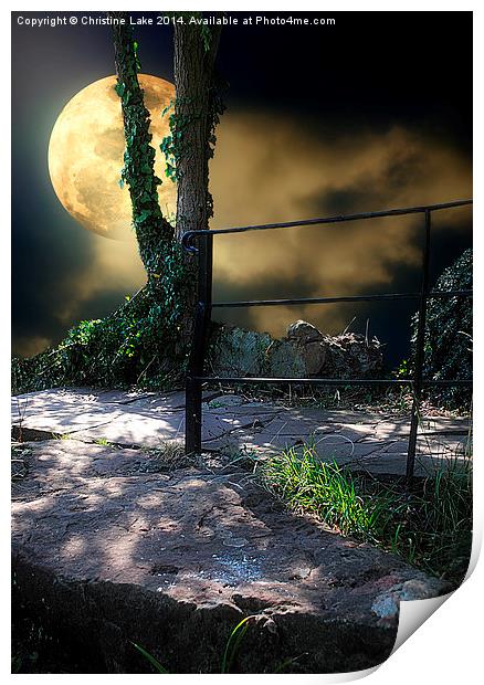  Walking in Moonlight Print by Christine Lake